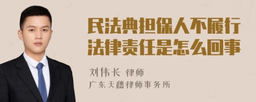 民法典担保人不履行法律责任是怎么回事