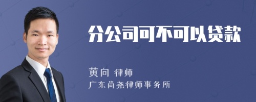 分公司可不可以贷款