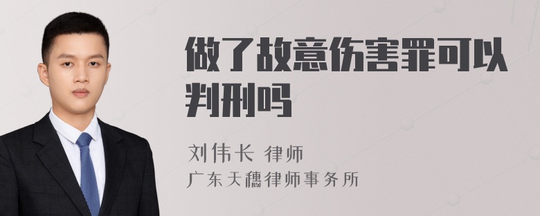 做了故意伤害罪可以判刑吗