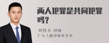 两人犯罪是共同犯罪吗？