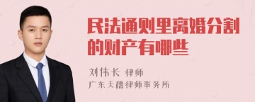 民法通则里离婚分割的财产有哪些