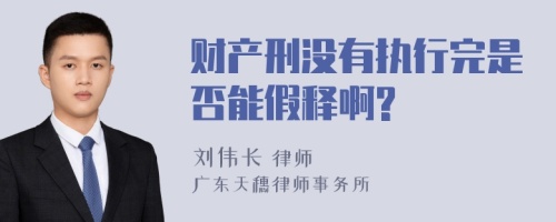 财产刑没有执行完是否能假释啊?