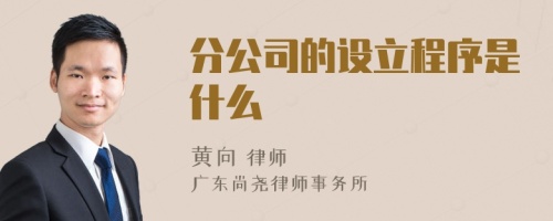 分公司的设立程序是什么