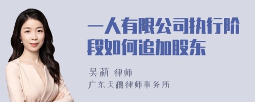 一人有限公司执行阶段如何追加股东