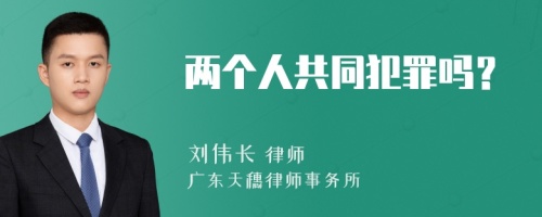 两个人共同犯罪吗？