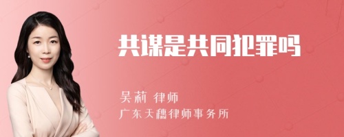 共谋是共同犯罪吗