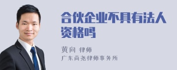 合伙企业不具有法人资格吗