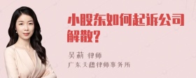 小股东如何起诉公司解散?