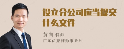 设立分公司应当提交什么文件