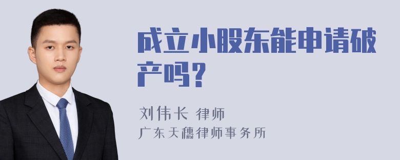 成立小股东能申请破产吗？