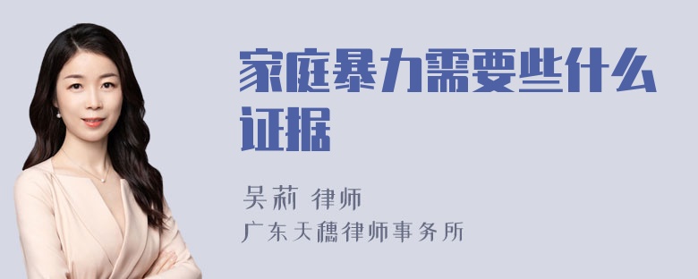 家庭暴力需要些什么证据