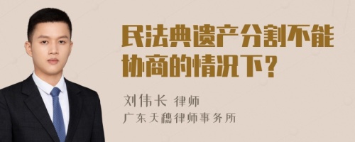 民法典遗产分割不能协商的情况下？