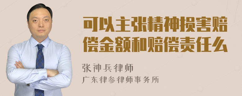 可以主张精神损害赔偿金额和赔偿责任么