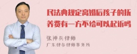 民法典规定离婚后孩子的抚养费有一方不给可以起诉吗