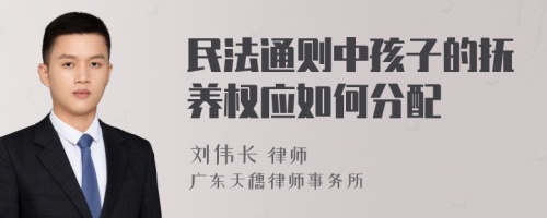 民法通则中孩子的抚养权应如何分配