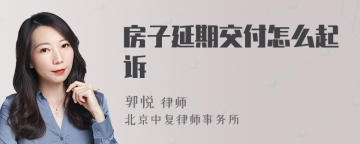 房子延期交付怎么起诉