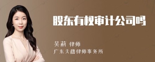 股东有权审计公司吗