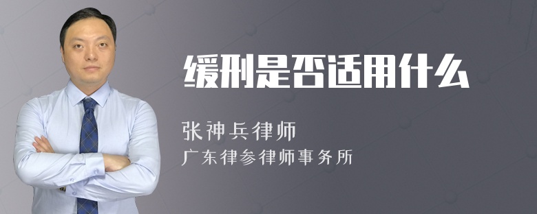 缓刑是否适用什么