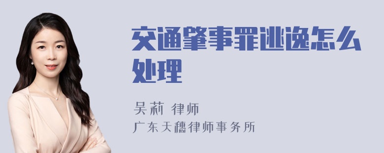 交通肇事罪逃逸怎么处理