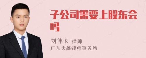 子公司需要上股东会吗