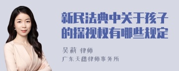 新民法典中关于孩子的探视权有哪些规定