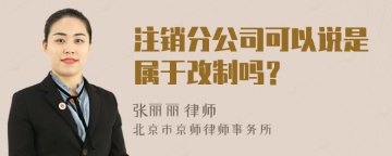 注销分公司可以说是属于改制吗？
