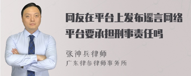 网友在平台上发布谣言网络平台要承担刑事责任吗