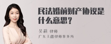 民法婚前财产协议是什么意思？