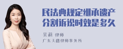 民法典规定继承遗产分割诉讼时效是多久