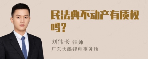 民法典不动产有质权吗？