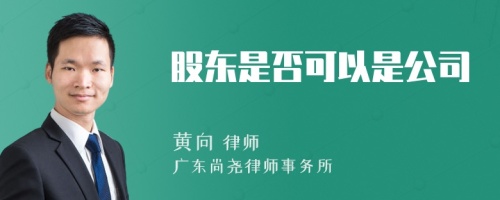 股东是否可以是公司