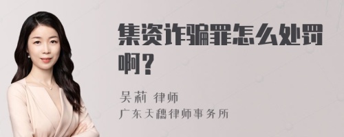 集资诈骗罪怎么处罚啊？