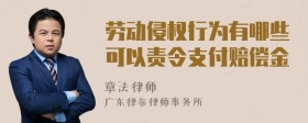 劳动侵权行为有哪些可以责令支付赔偿金