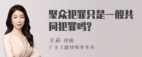 聚众犯罪只是一般共同犯罪吗?