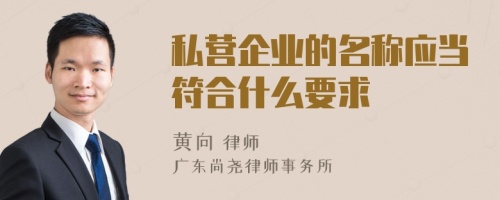 私营企业的名称应当符合什么要求