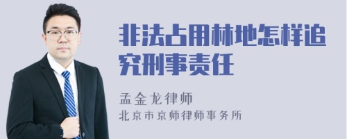 非法占用林地怎样追究刑事责任