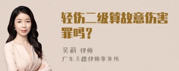 轻伤二级算故意伤害罪吗？