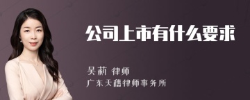 公司上市有什么要求