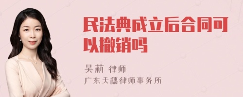 民法典成立后合同可以撤销吗