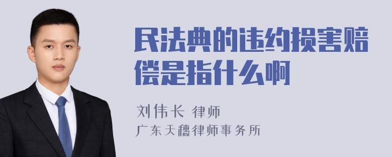 民法典的违约损害赔偿是指什么啊