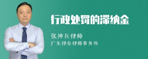 行政处罚的滞纳金