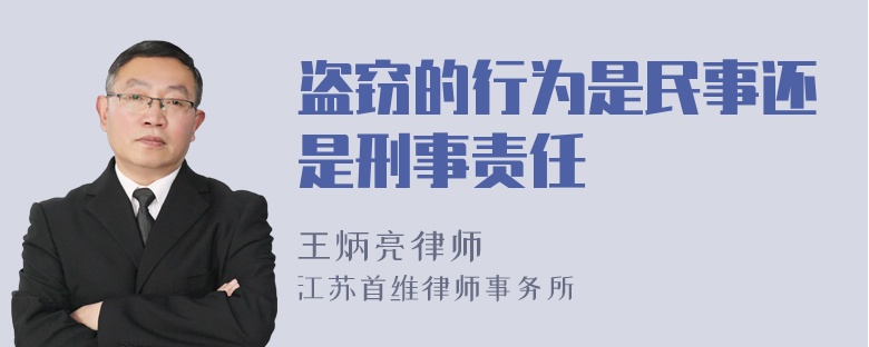 盗窃的行为是民事还是刑事责任