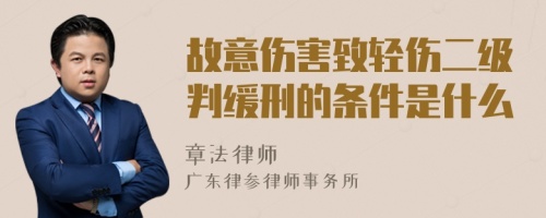 故意伤害致轻伤二级判缓刑的条件是什么