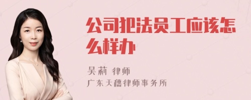 公司犯法员工应该怎么样办