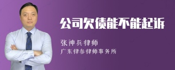 公司欠债能不能起诉