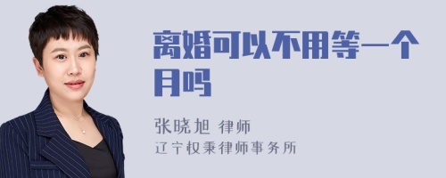 离婚可以不用等一个月吗