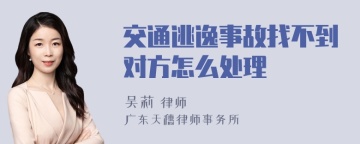 交通逃逸事故找不到对方怎么处理