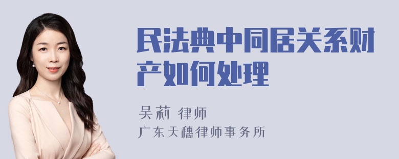 民法典中同居关系财产如何处理