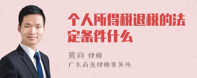 个人所得税退税的法定条件什么