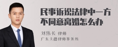 民事诉讼法律中一方不同意离婚怎么办